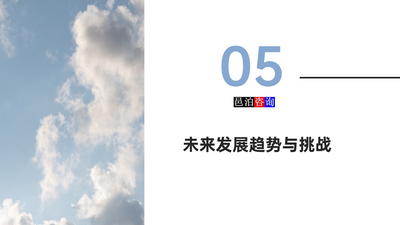 邑泊數(shù)字化智能化技術軟件定制與信息服務遠程外包商業(yè)模式分析未來發(fā)展趨勢與挑戰(zhàn)