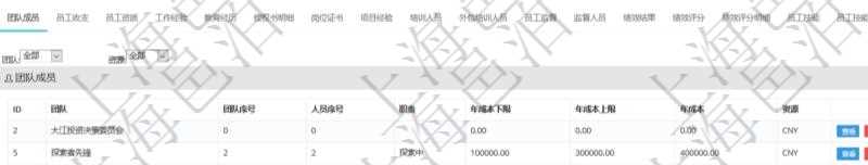 項目管理軟件人力資源管理模塊員工基本信息資料明細(xì)查詢還可以關(guān)聯(lián)查詢更多相關(guān)資料，比如團(tuán)隊成員子頁面可以返回員工在不同團(tuán)隊的信息，比如：團(tuán)隊名稱、團(tuán)隊序號、人員序號、職責(zé)、年成本下限、年成本上限、年成本、貨幣單位資源等。